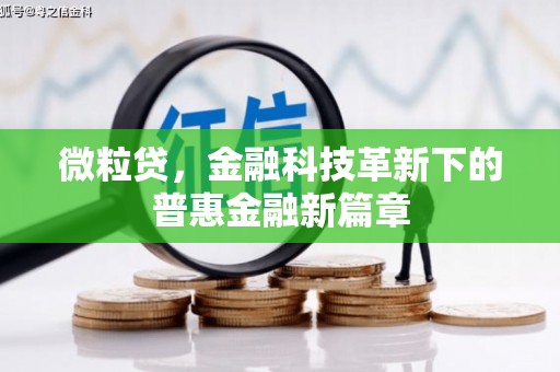 郊区微粒贷，金融科技革新下的普惠金融新篇章