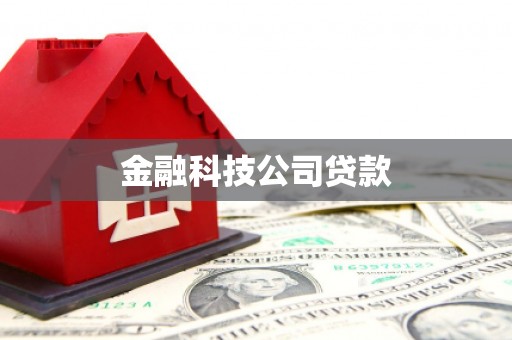 郊区金融科技公司贷款