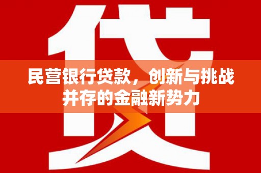 郊区民营银行贷款，创新与挑战并存的金融新势力