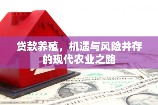 郊区贷款养殖，机遇与风险并存的现代农业之路