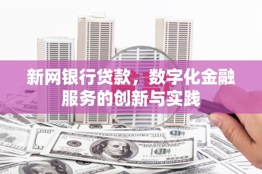 郊区新网银行贷款，数字化金融服务的创新与实践