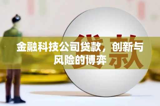 郊区金融科技公司贷款，创新与风险的博弈