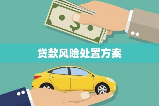 郊区贷款风险处置方案