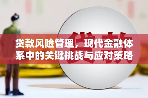 郊区贷款风险管理，现代金融体系中的关键挑战与应对策略
