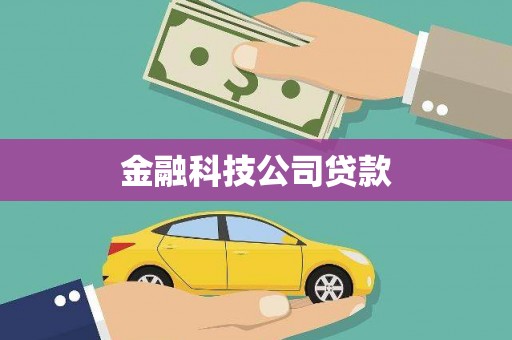 郊区金融科技公司贷款
