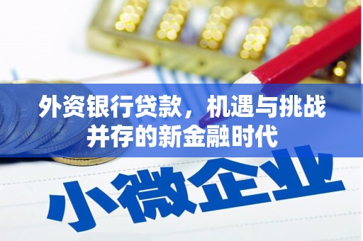 郊区外资银行贷款，机遇与挑战并存的新金融时代