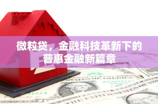 郊区微粒贷，金融科技革新下的普惠金融新篇章