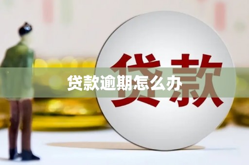 郊区贷款逾期怎么办