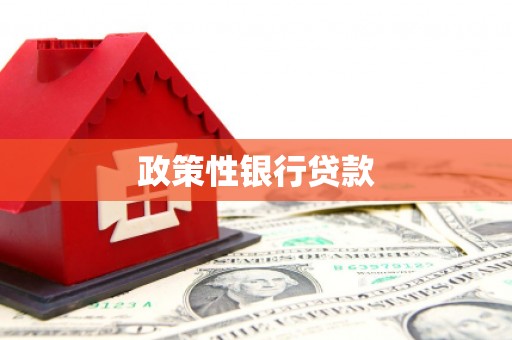 郊区政策性银行贷款