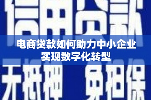 郊区电商贷款如何助力中小企业实现数字化转型