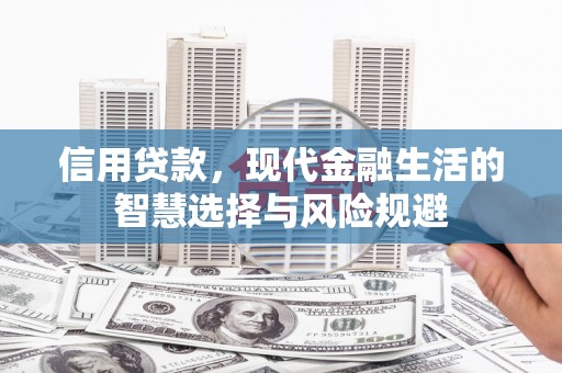 郊区信用贷款，现代金融生活的智慧选择与风险规避