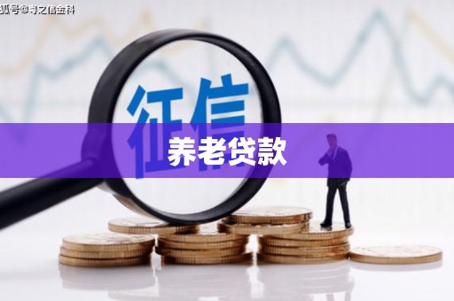 郊区养老贷款
