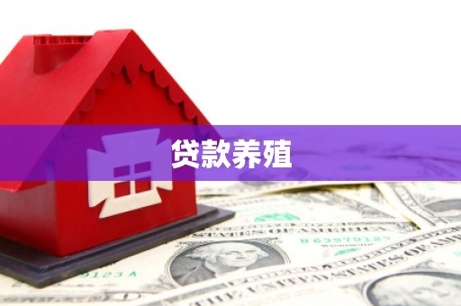 郊区贷款养殖