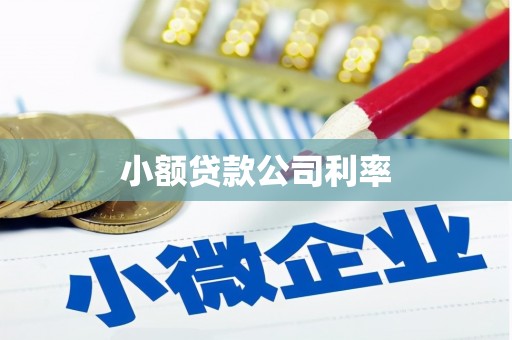郊区小额贷款公司利率