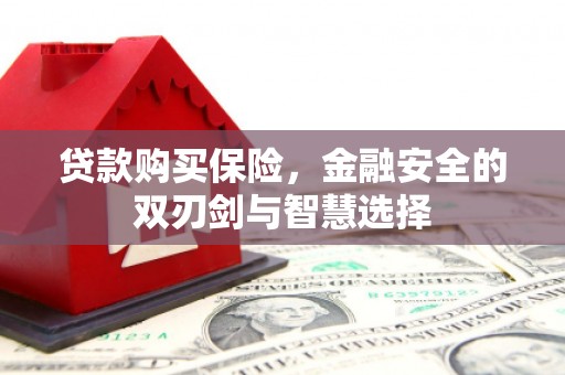 郊区贷款购买保险，金融安全的双刃剑与智慧选择