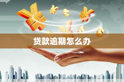 郊区贷款逾期怎么办