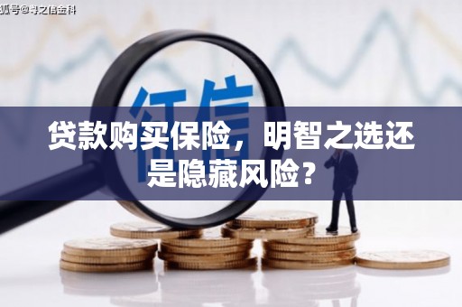 郊区贷款购买保险，明智之选还是隐藏风险？