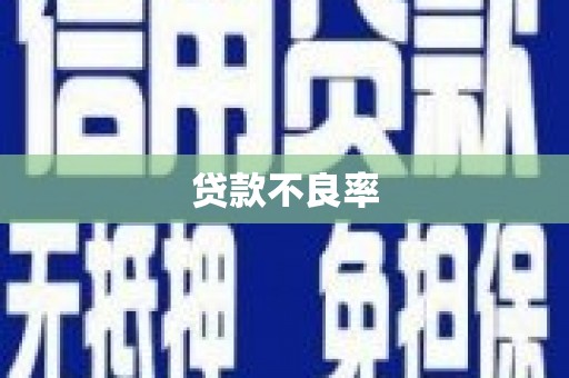 郊区贷款不良率
