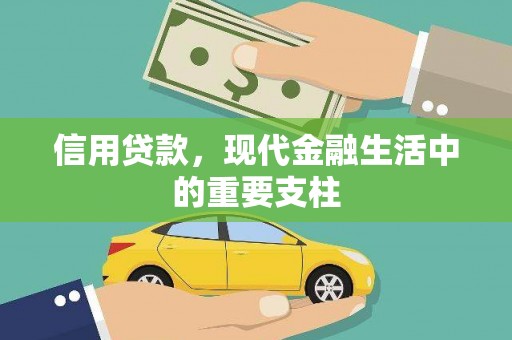 郊区信用贷款，现代金融生活中的重要支柱