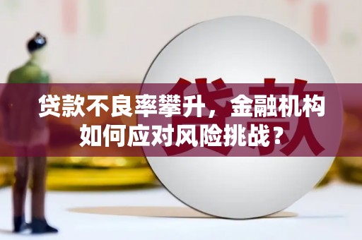 郊区贷款不良率攀升，金融机构如何应对风险挑战？