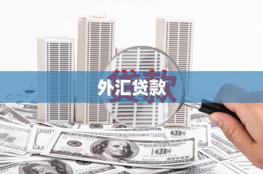 郊区外汇贷款