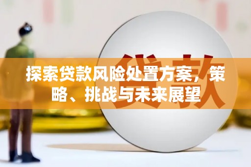 郊区探索贷款风险处置方案，策略、挑战与未来展望