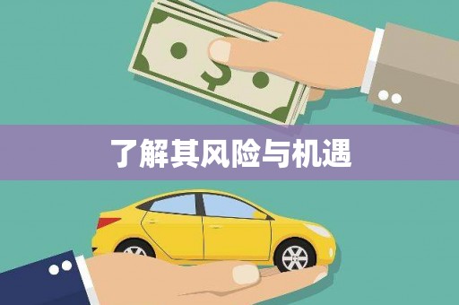 郊区了解其风险与机遇