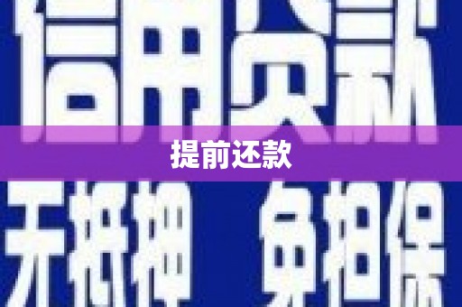郊区提前还款
