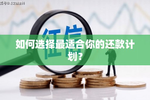 郊区如何选择最适合你的还款计划？
