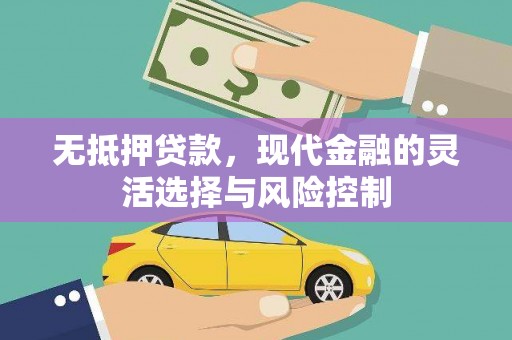 郊区无抵押贷款，现代金融的灵活选择与风险控制