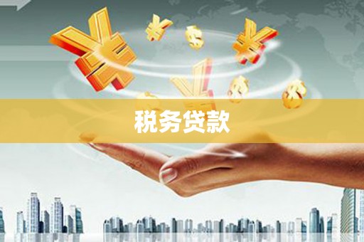 郊区税务贷款