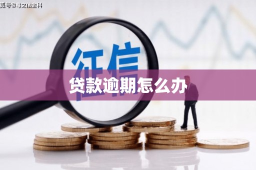 郊区贷款逾期怎么办