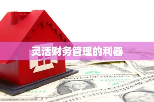 郊区灵活财务管理的利器