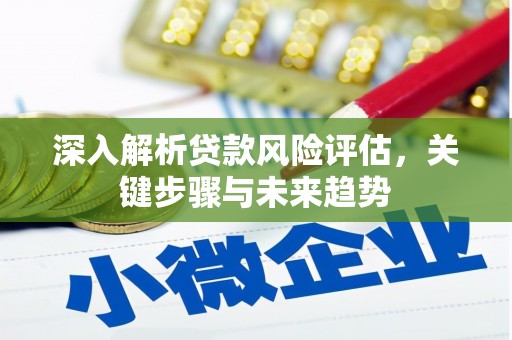 郊区深入解析贷款风险评估，关键步骤与未来趋势