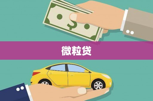 郊区微粒贷
