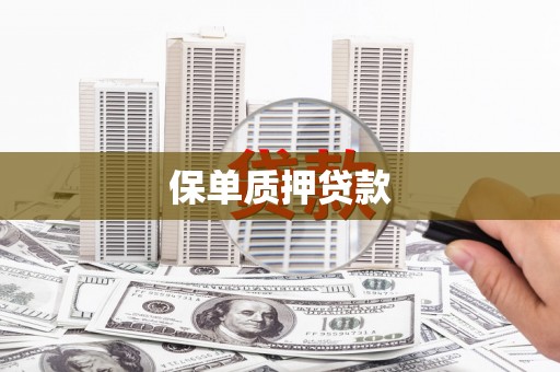 郊区保单质押贷款