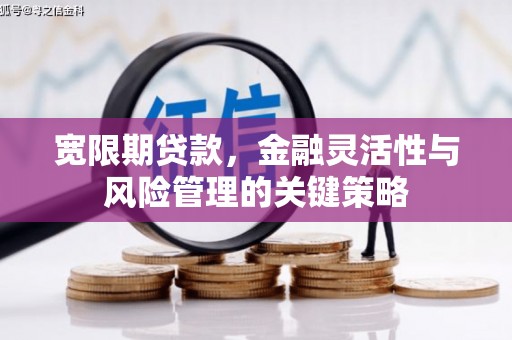 郊区宽限期贷款，金融灵活性与风险管理的关键策略