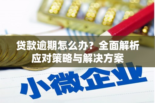 郊区贷款逾期怎么办？全面解析应对策略与解决方案