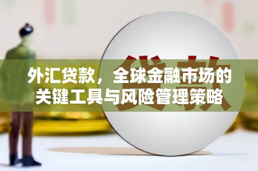 郊区外汇贷款，全球金融市场的关键工具与风险管理策略
