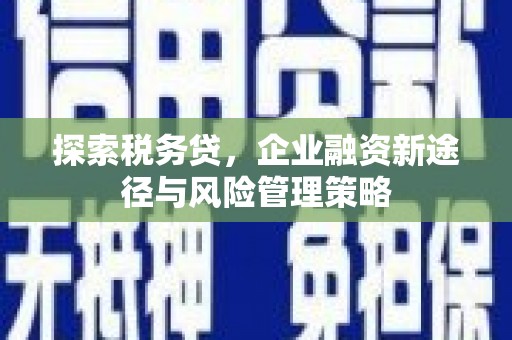郊区探索税务贷，企业融资新途径与风险管理策略