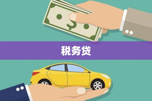 郊区税务贷