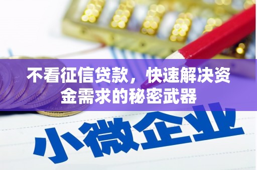 郊区不看征信贷款，快速解决资金需求的秘密武器