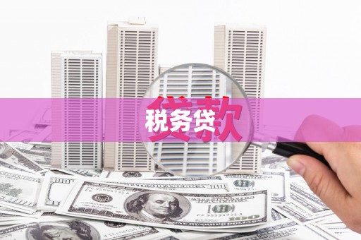 郊区税务贷