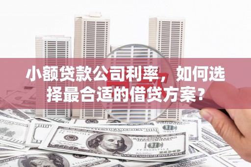 郊区小额贷款公司利率，如何选择最合适的借贷方案？