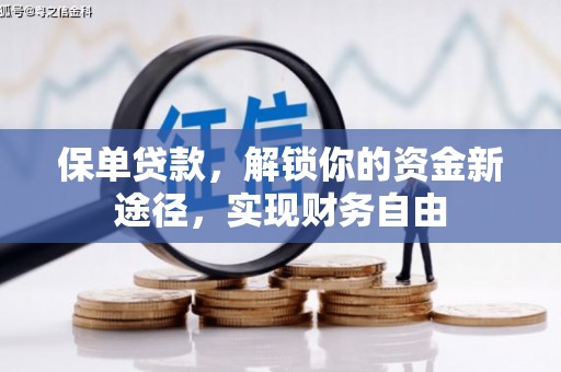 郊区保单贷款，解锁你的资金新途径，实现财务自由