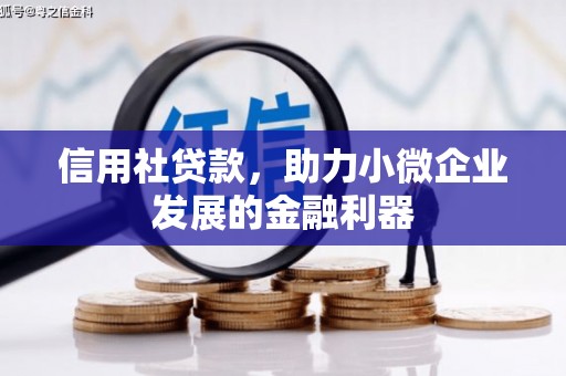 郊区信用社贷款，助力小微企业发展的金融利器