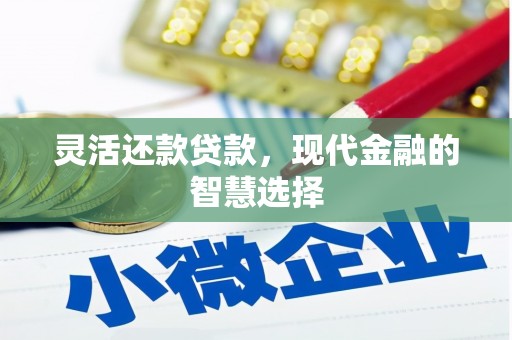 郊区灵活还款贷款，现代金融的智慧选择