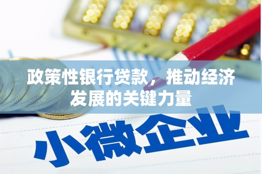 郊区政策性银行贷款，推动经济发展的关键力量