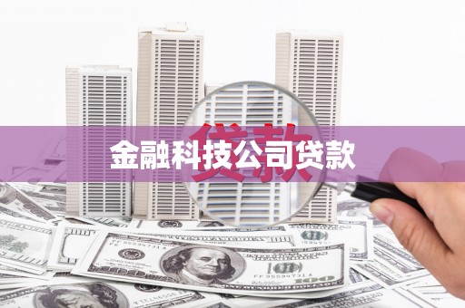 郊区金融科技公司贷款