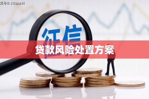 郊区贷款风险处置方案